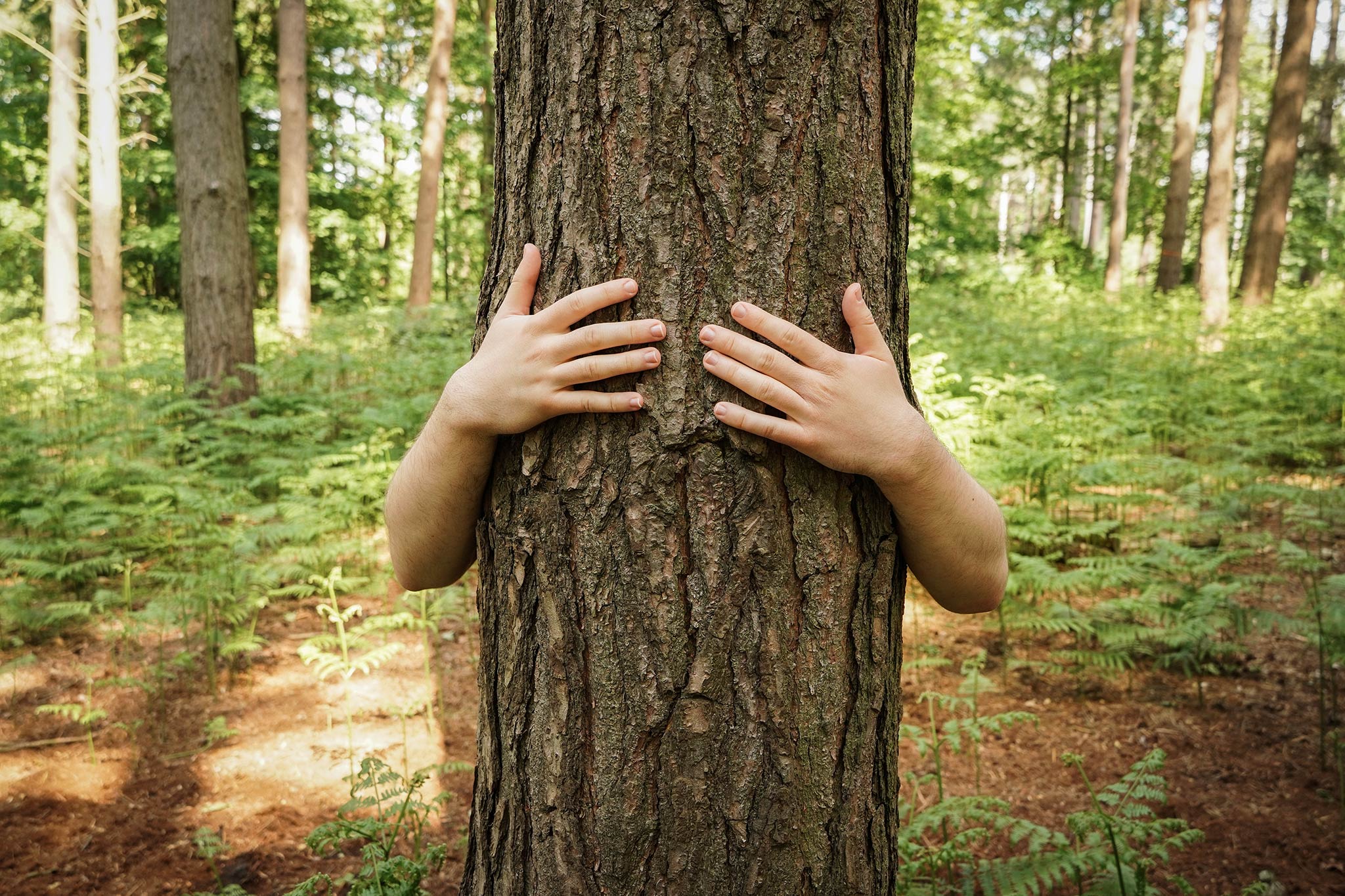 Being with nature can benefit mental health